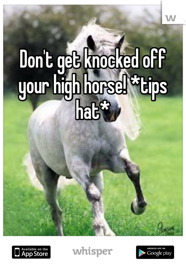 Don't get knocked off your high horse! *tips hat*