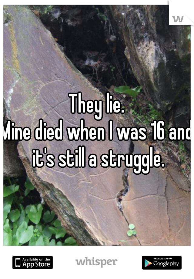 They lie.
Mine died when I was 16 and it's still a struggle.
