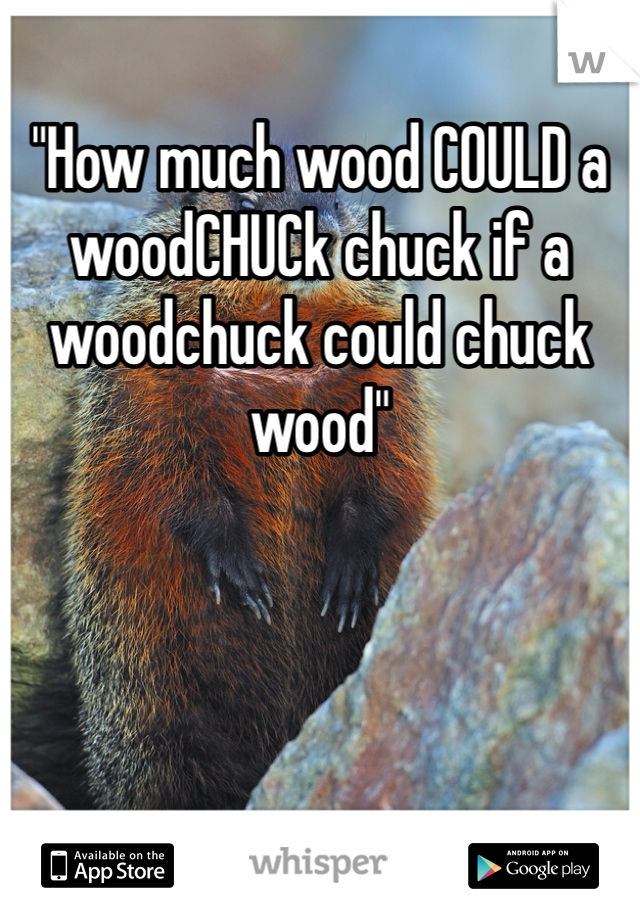 "How much wood COULD a woodCHUCk chuck if a woodchuck could chuck wood"