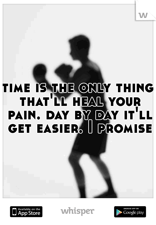 time is the only thing that'll heal your pain. day by day it'll get easier. I promise