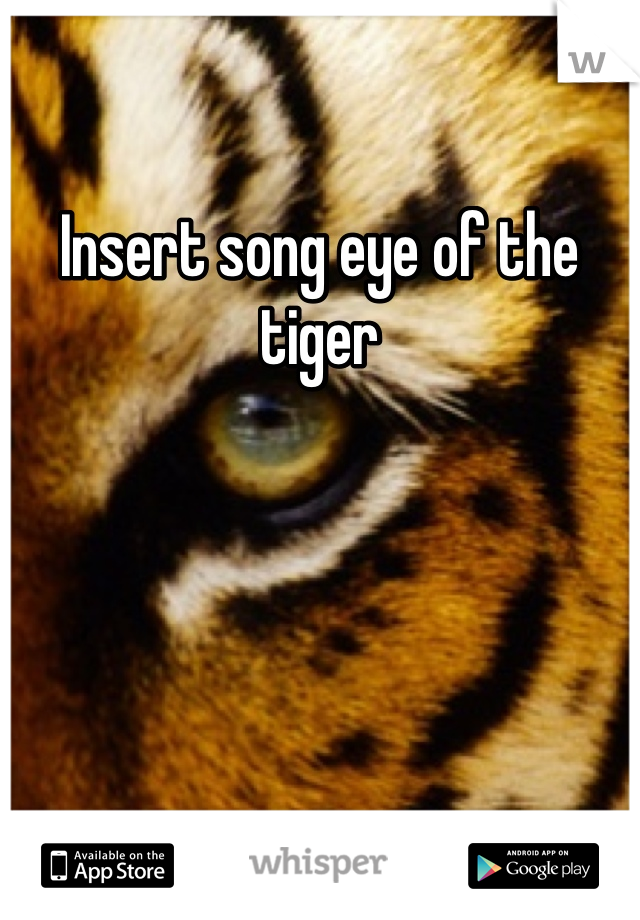 Insert song eye of the tiger 