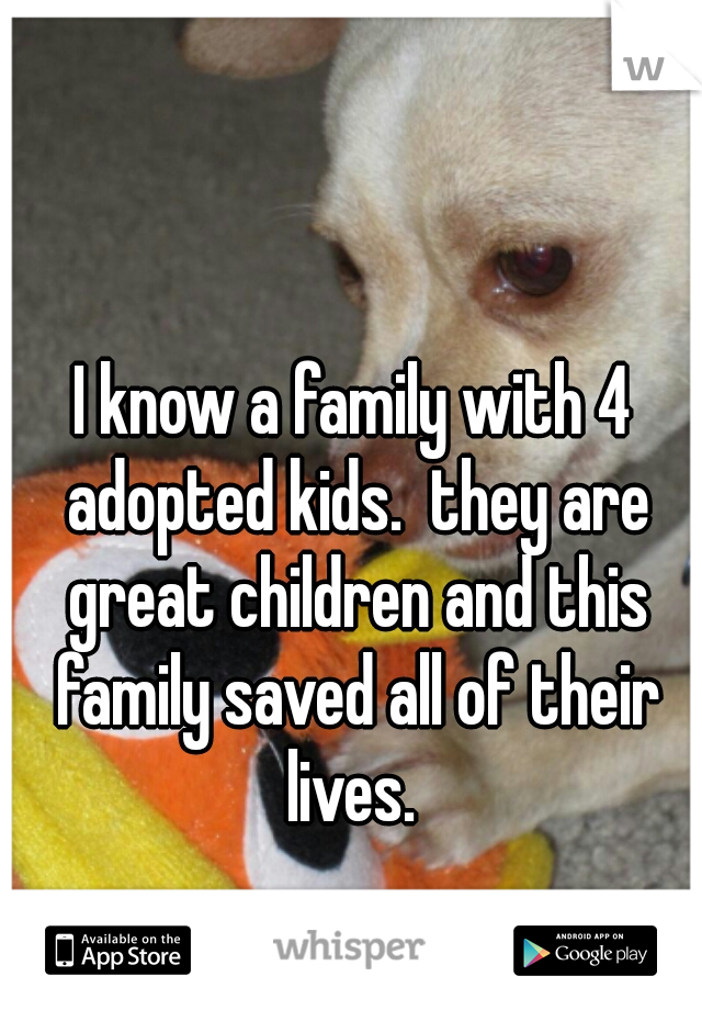 I know a family with 4 adopted kids.  they are great children and this family saved all of their lives. 