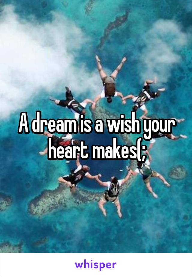 A dream is a wish your heart makes(;