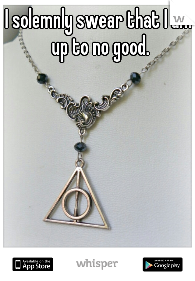 I solemnly swear that I am up to no good.
