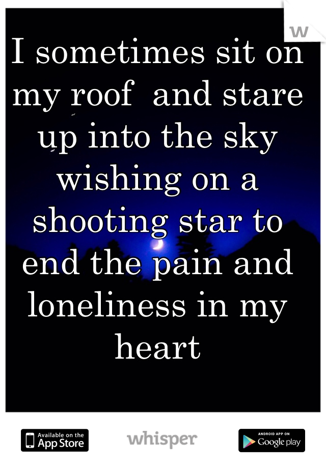 I sometimes sit on my roof  and stare up into the sky wishing on a shooting star to end the pain and loneliness in my heart