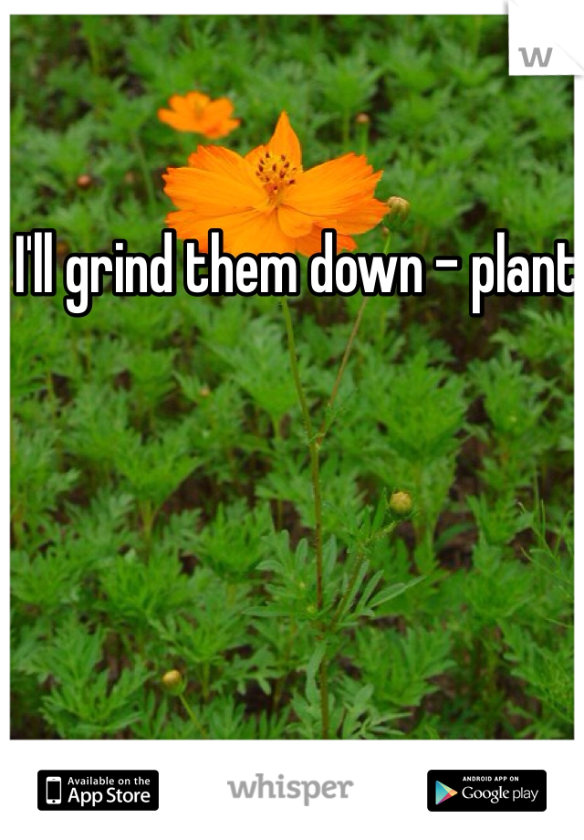 I'll grind them down - plant 
