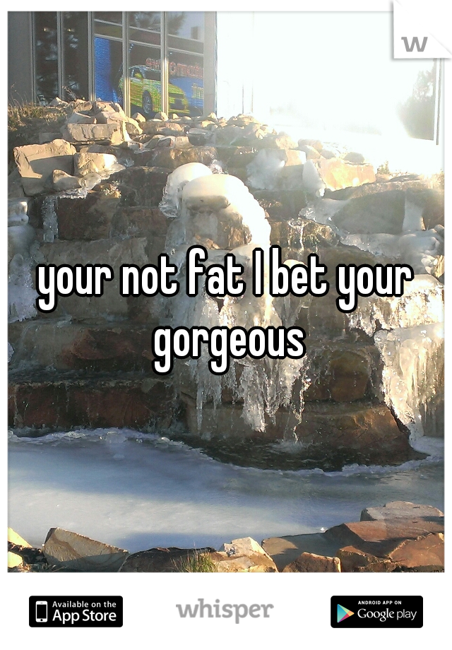 your not fat I bet your gorgeous