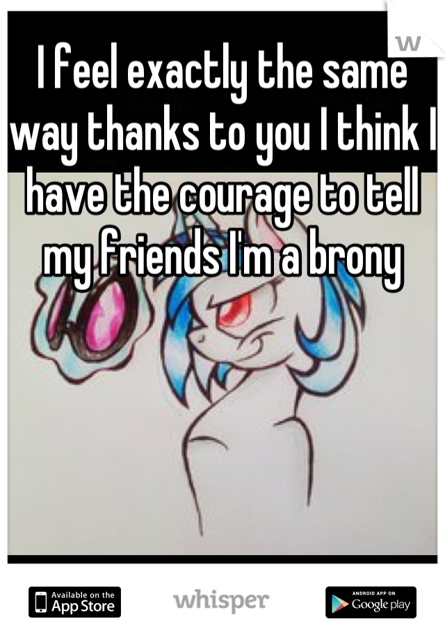 I feel exactly the same way thanks to you I think I have the courage to tell my friends I'm a brony