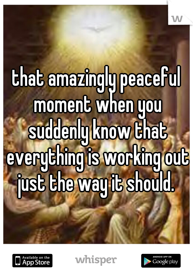 that amazingly peaceful moment when you suddenly know that everything is working out just the way it should. 
