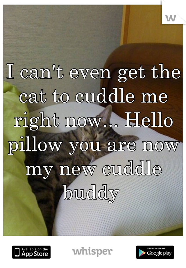 I can't even get the cat to cuddle me right now... Hello pillow you are now my new cuddle buddy 
