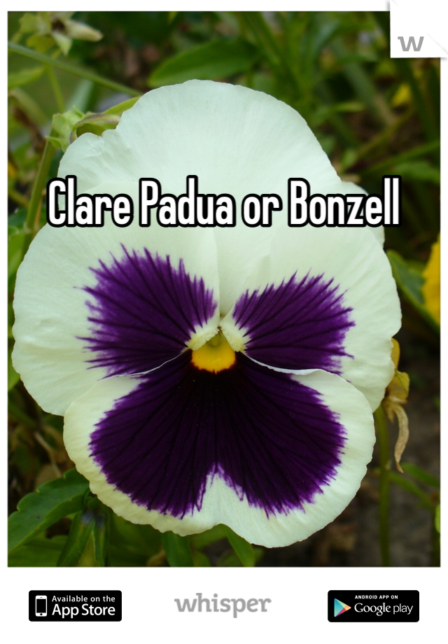 Clare Padua or Bonzell