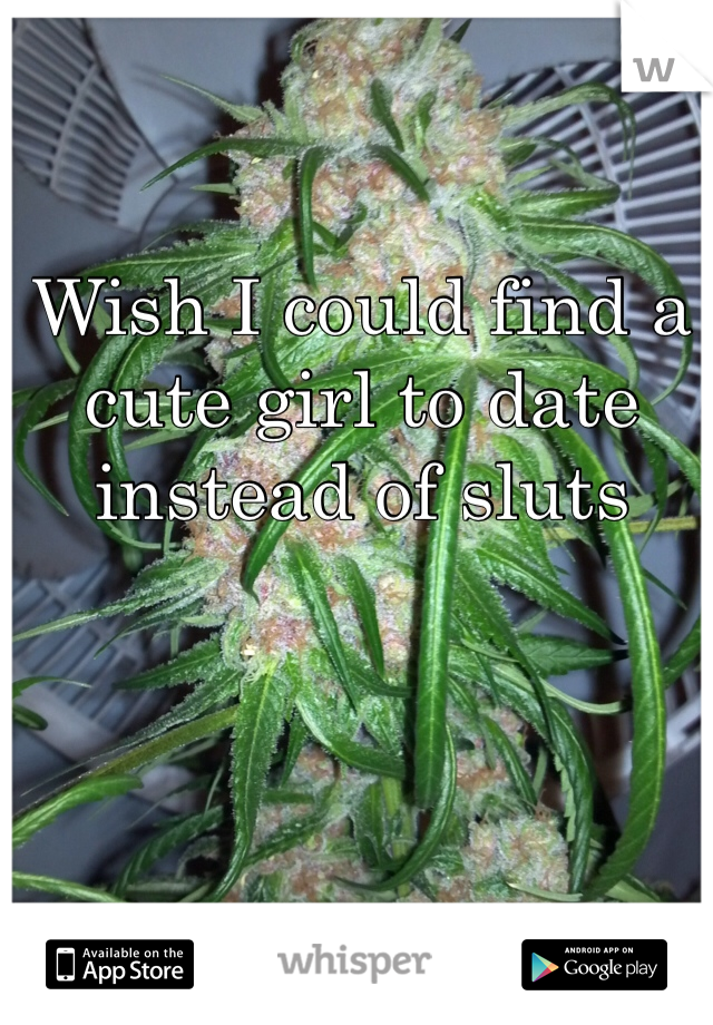 Wish I could find a cute girl to date instead of sluts