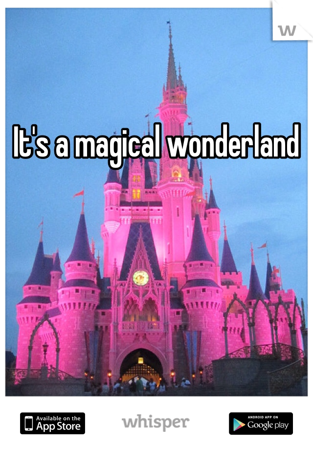 It's a magical wonderland