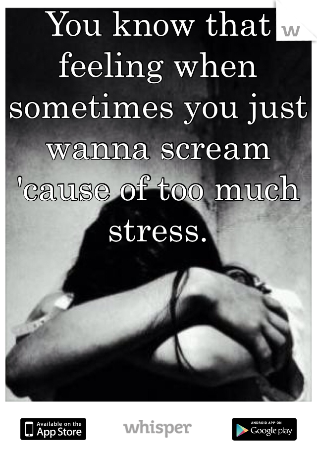 You know that feeling when sometimes you just wanna scream  'cause of too much stress.