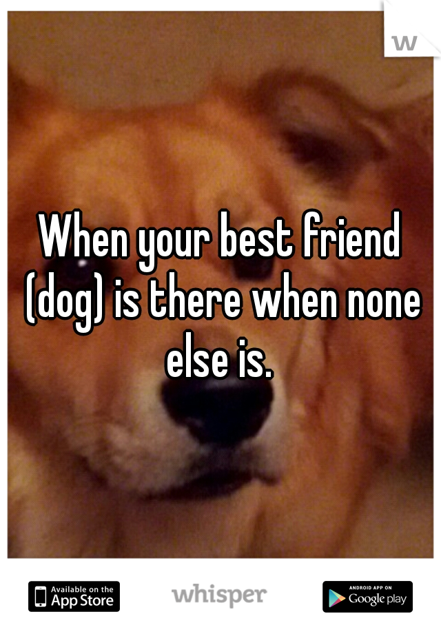 When your best friend (dog) is there when none else is. 