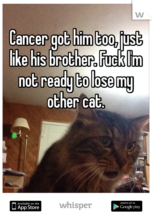 Cancer got him too, just like his brother. Fuck I'm not ready to lose my other cat.