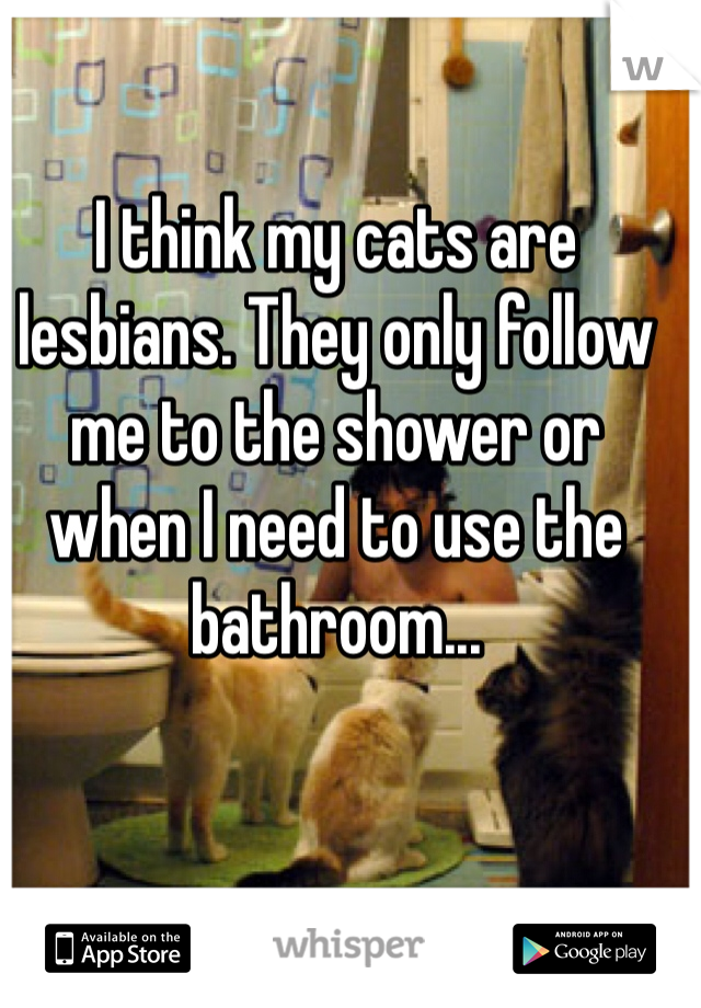 I think my cats are lesbians. They only follow me to the shower or when I need to use the bathroom...