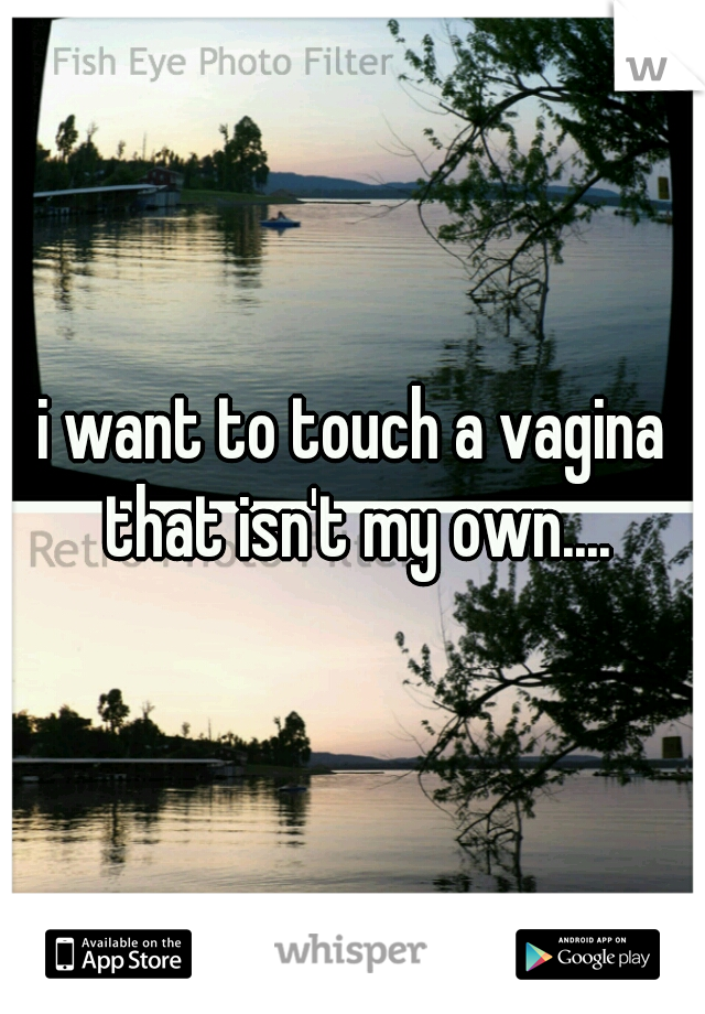 i want to touch a vagina that isn't my own....