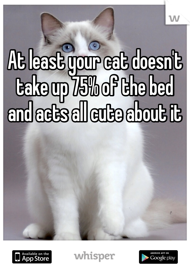 At least your cat doesn't take up 75% of the bed and acts all cute about it