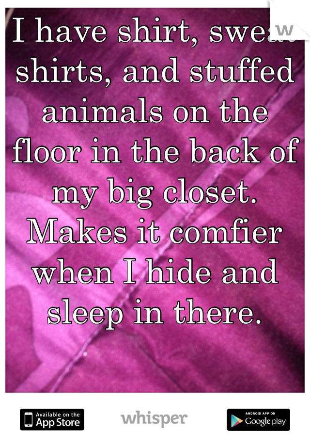 I have shirt, sweat shirts, and stuffed animals on the floor in the back of my big closet. 
Makes it comfier when I hide and sleep in there. 
