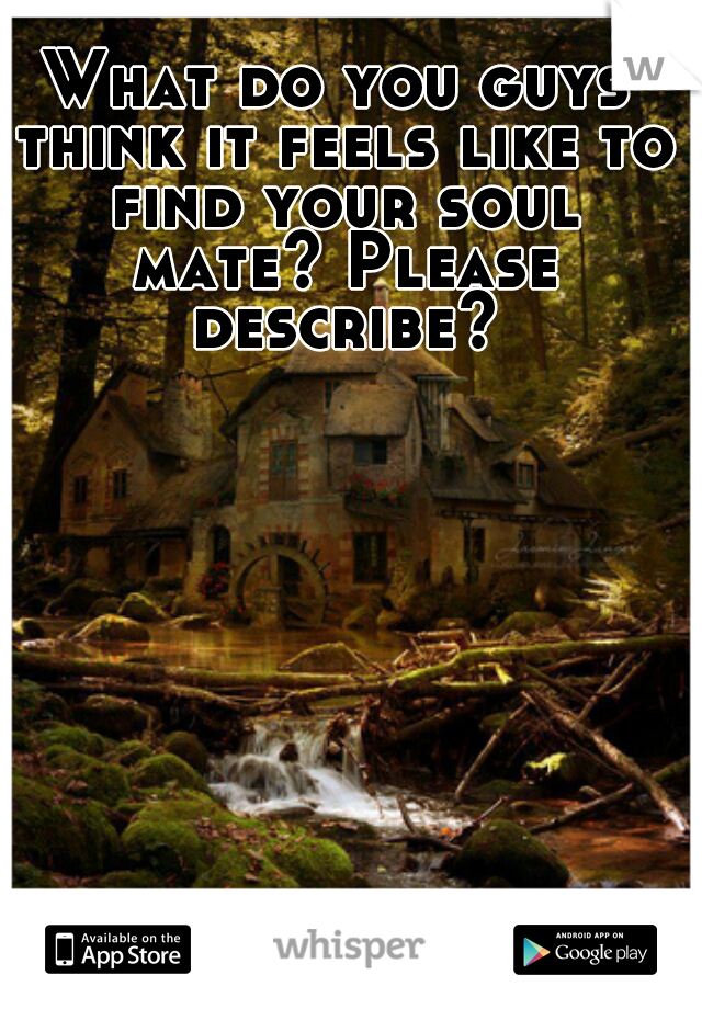 What do you guys think it feels like to find your soul mate? Please describe?