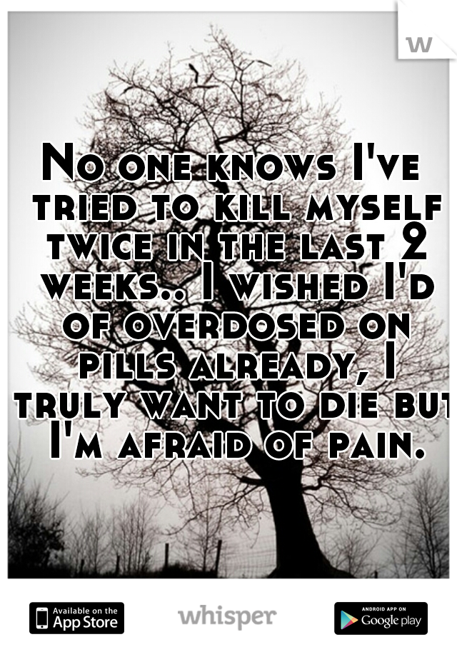 No one knows I've tried to kill myself twice in the last 2 weeks.. I wished I'd of overdosed on pills already, I truly want to die but I'm afraid of pain.