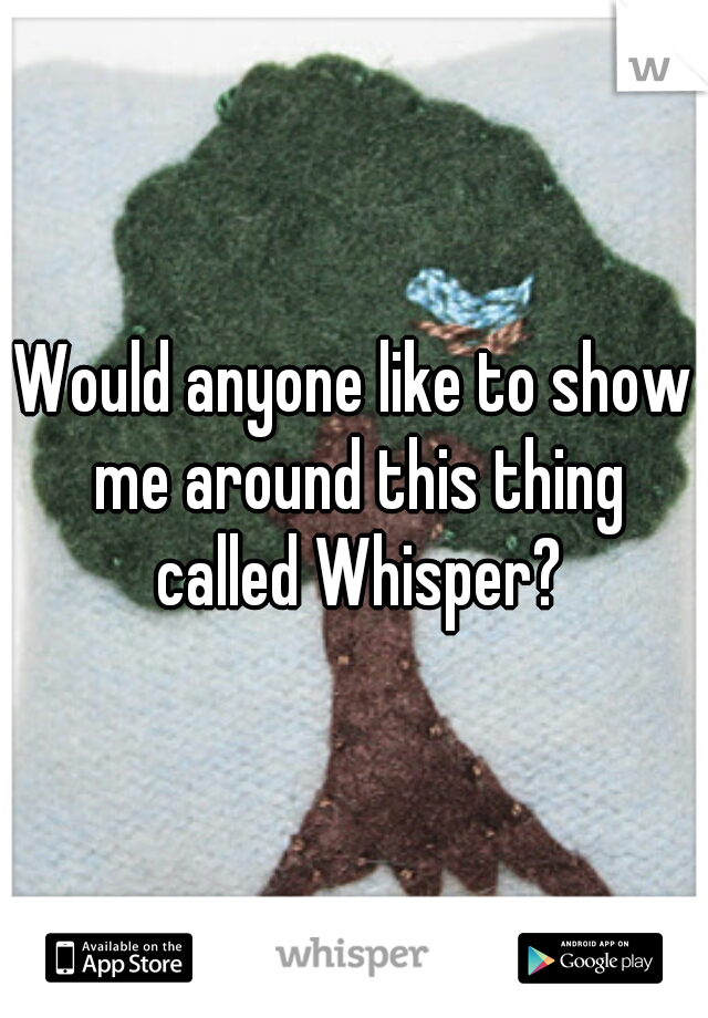 Would anyone like to show me around this thing called Whisper?