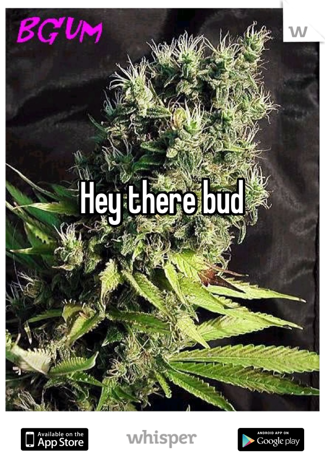 Hey there bud 