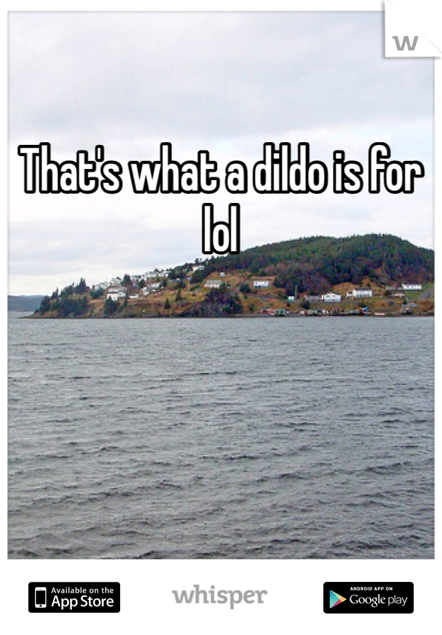 That's what a dildo is for lol