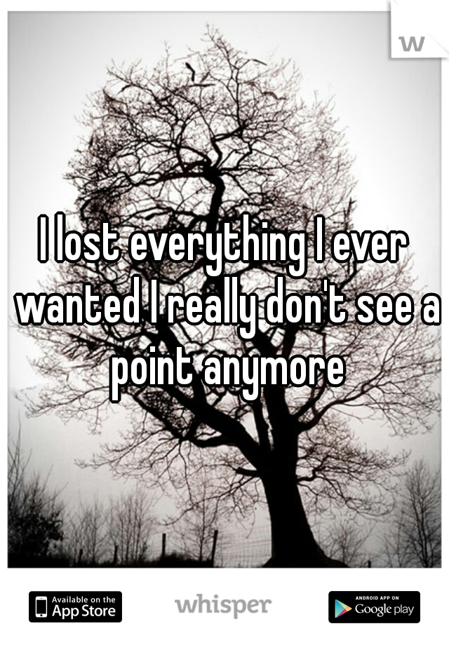I lost everything I ever wanted I really don't see a point anymore