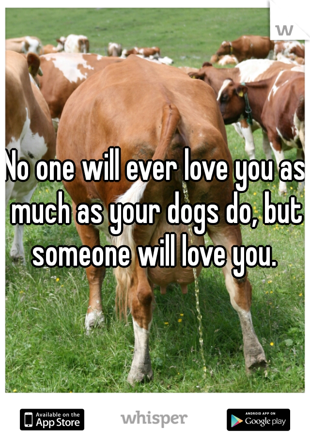 No one will ever love you as much as your dogs do, but someone will love you. 