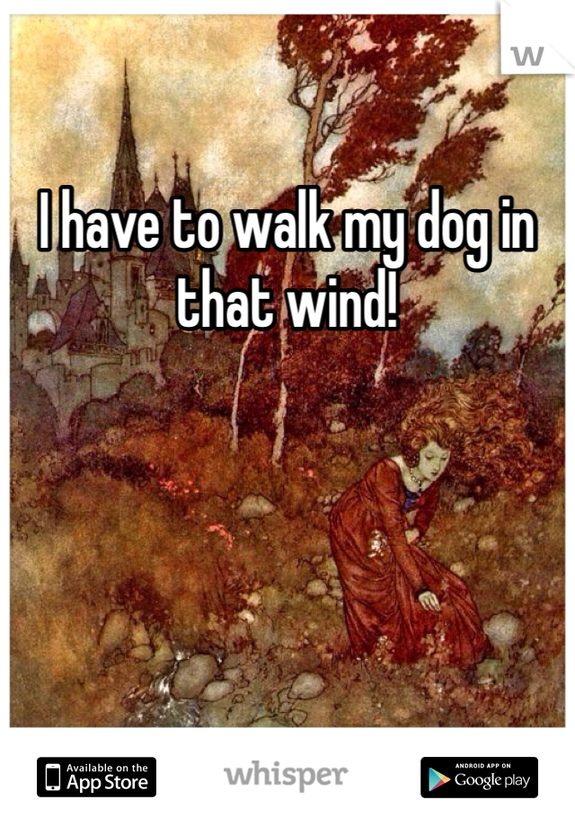 I have to walk my dog in that wind! 