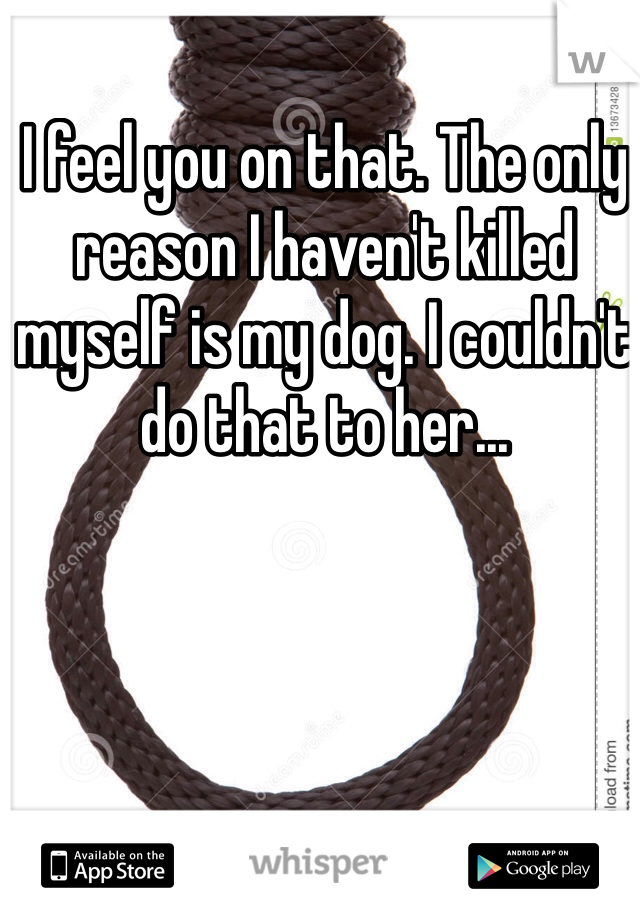 I feel you on that. The only reason I haven't killed myself is my dog. I couldn't do that to her...