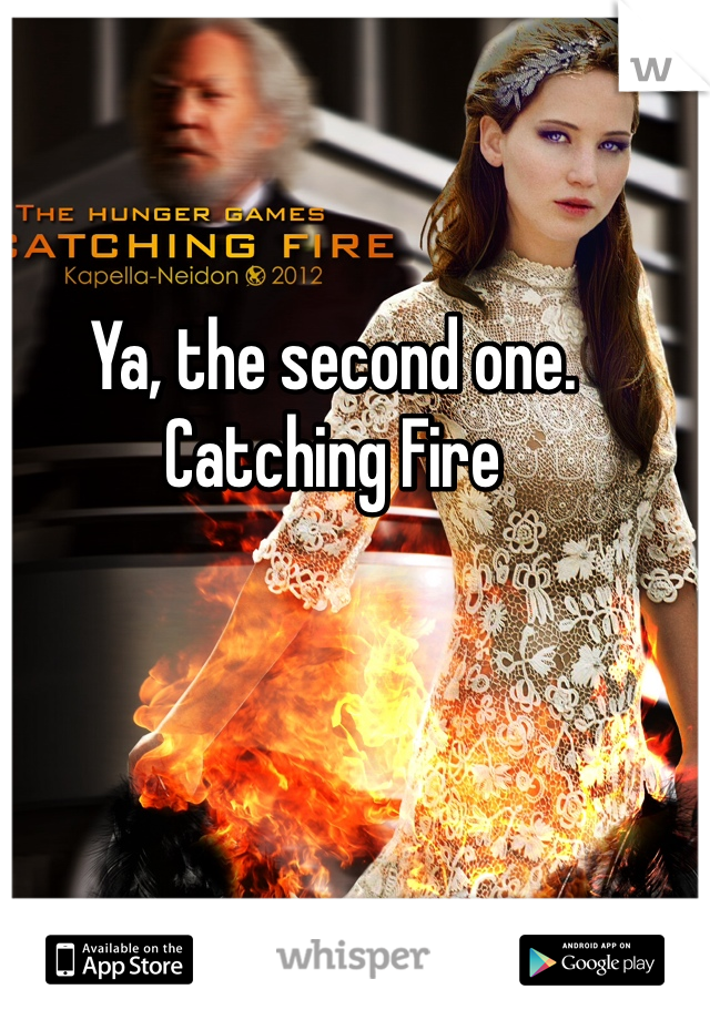 Ya, the second one. Catching Fire
