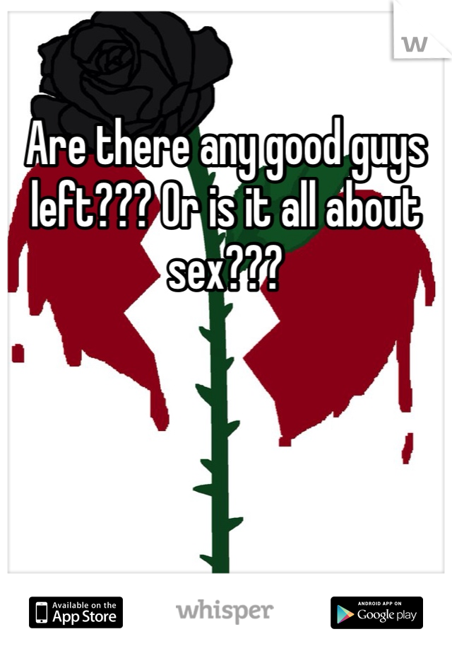 Are there any good guys left??? Or is it all about sex??? 