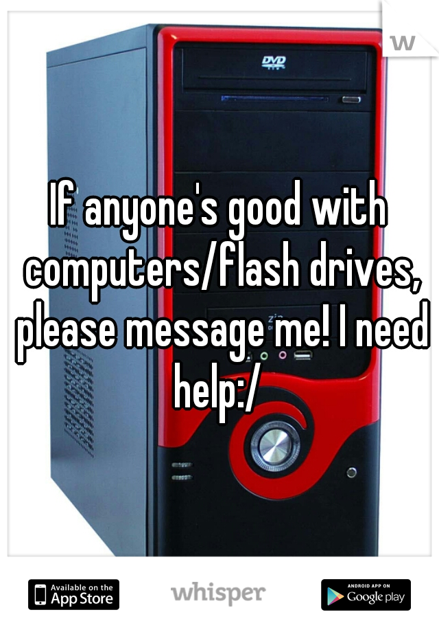 If anyone's good with computers/flash drives, please message me! I need help:/ 