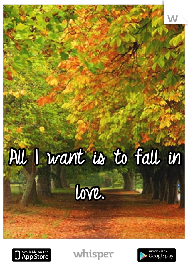 All I want is to fall in love. 