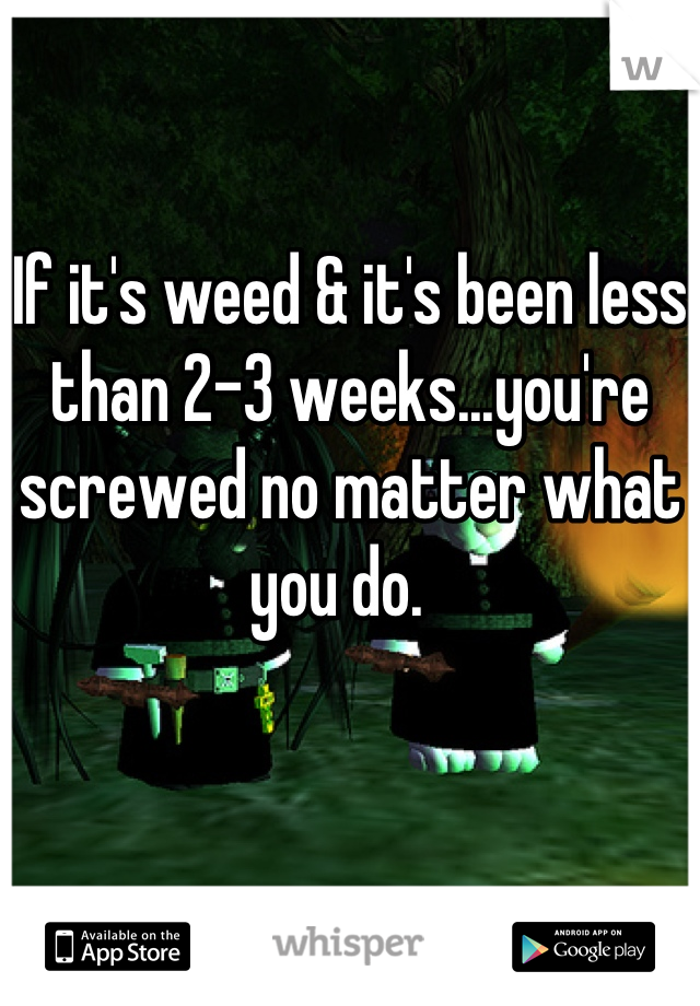 If it's weed & it's been less than 2-3 weeks...you're screwed no matter what you do.  