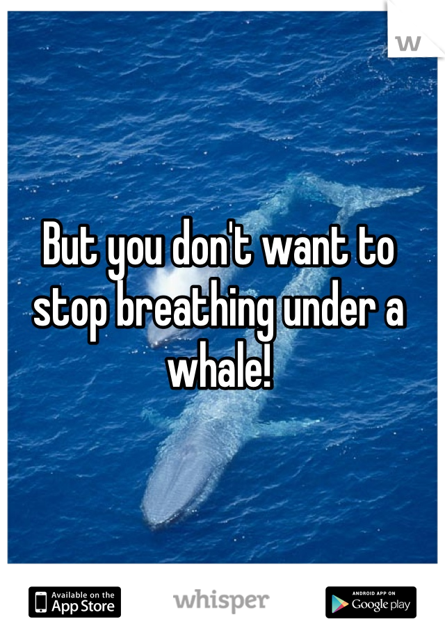 But you don't want to stop breathing under a whale! 
