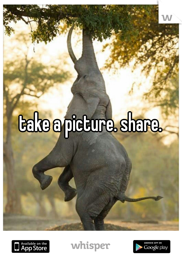 take a picture. share.