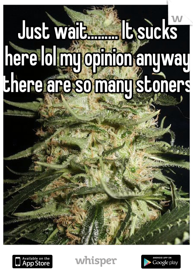 Just wait......... It sucks here lol my opinion anyway there are so many stoners