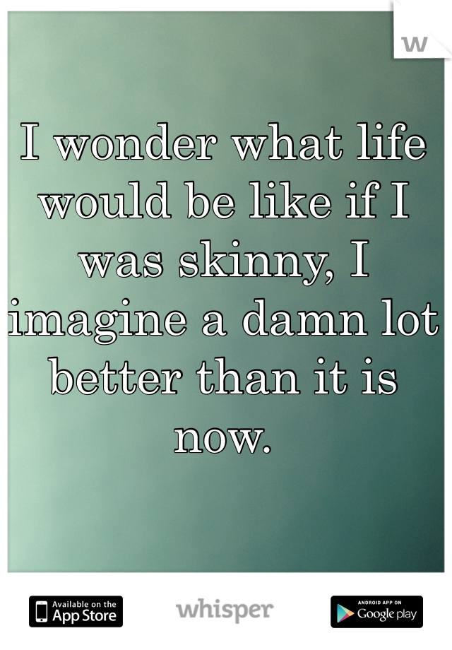 I wonder what life would be like if I was skinny, I imagine a damn lot better than it is now. 