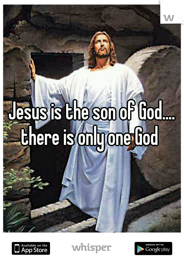 Jesus is the son of God....
there is only one God 