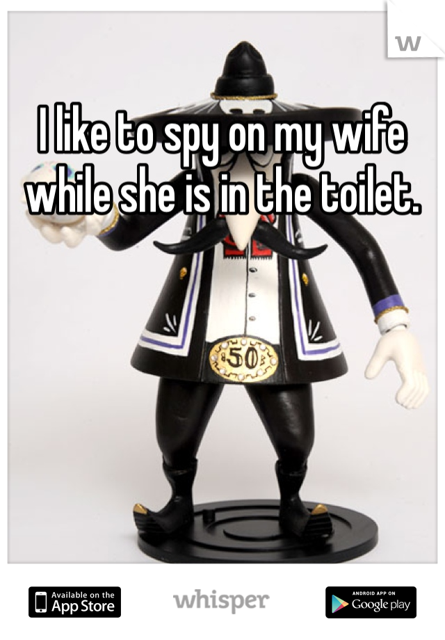 I like to spy on my wife while she is in the toilet.