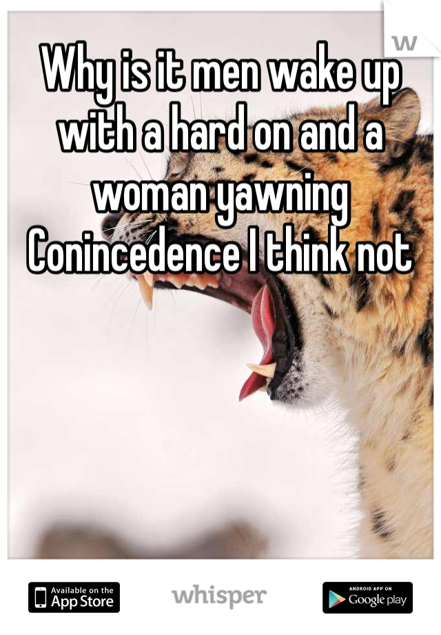 Why is it men wake up with a hard on and a woman yawning 
Conincedence I think not 