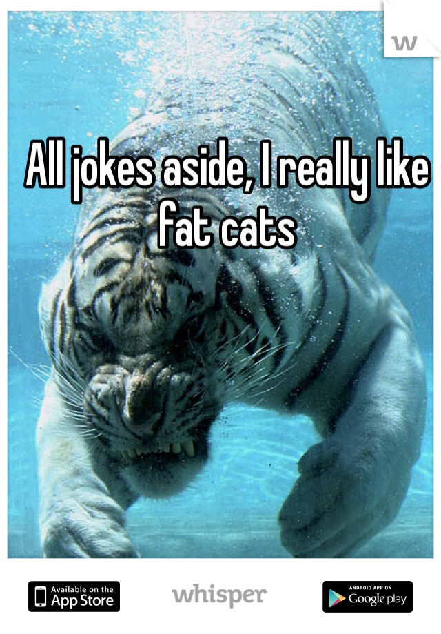 All jokes aside, I really like fat cats