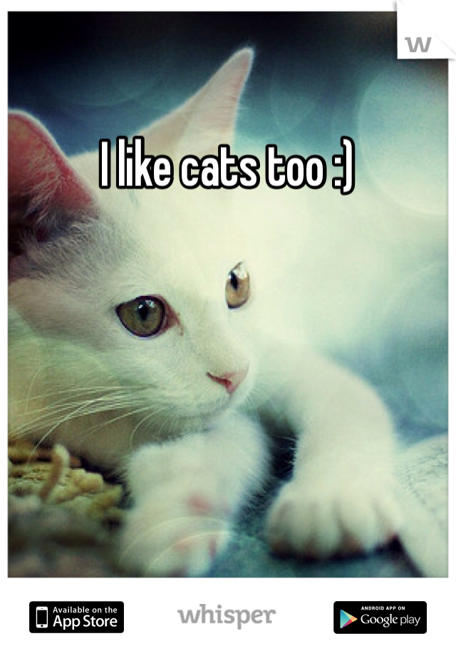I like cats too :)