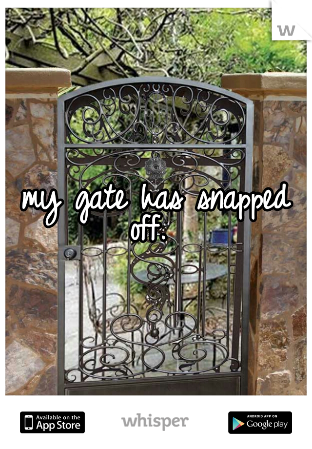 my gate has snapped off.  