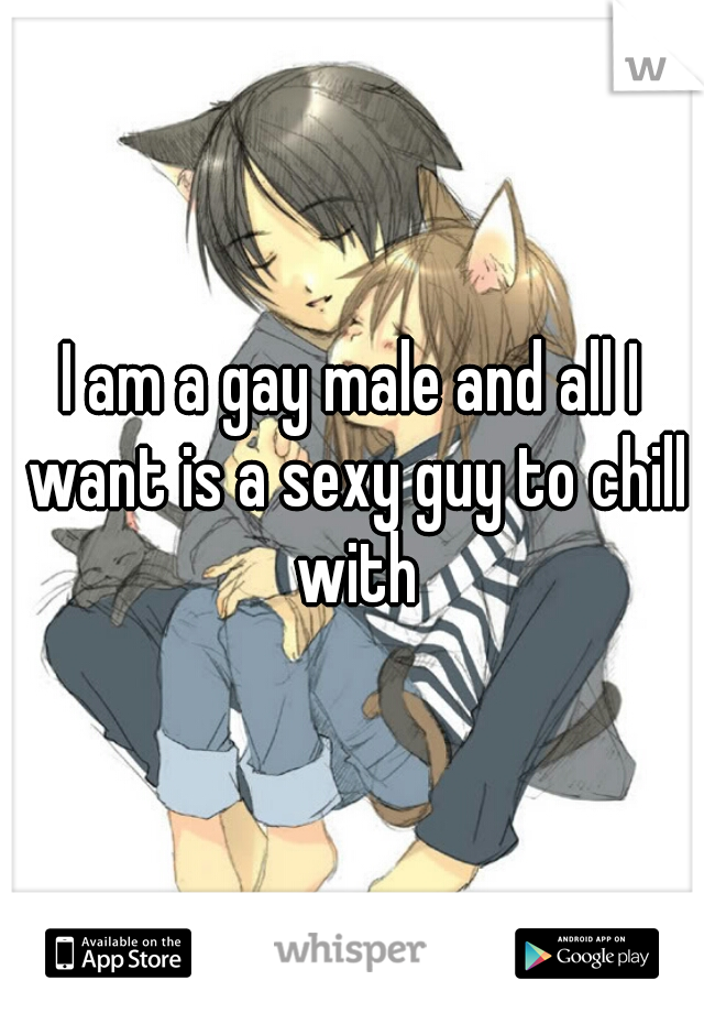 I am a gay male and all I want is a sexy guy to chill with
