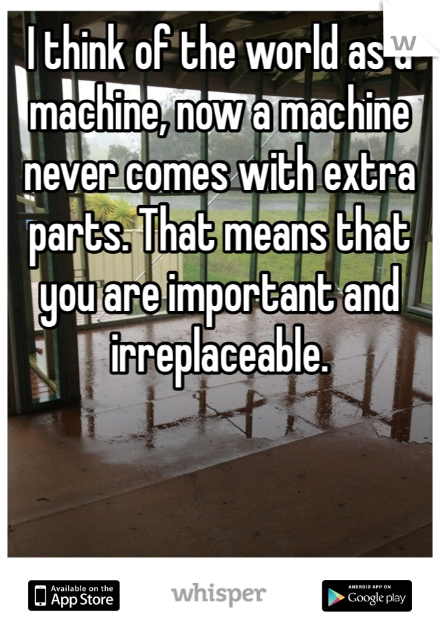 I think of the world as a machine, now a machine never comes with extra parts. That means that you are important and irreplaceable. 